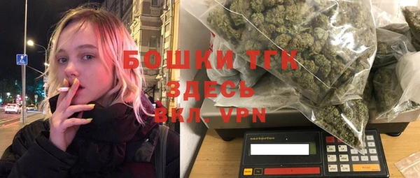 сатива Краснослободск