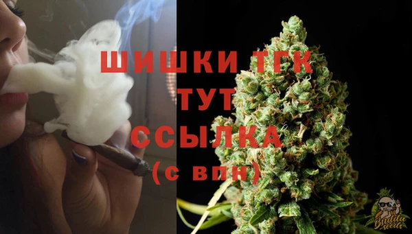 тгк Семёнов