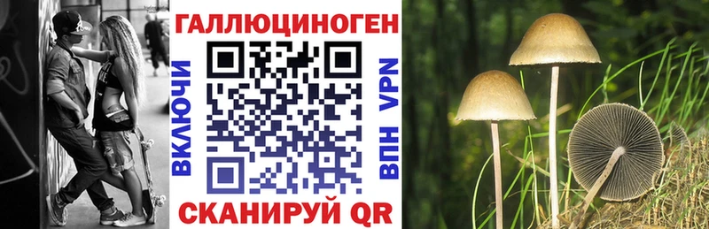 darknet формула блэк спрут как зайти Тимашёвск Галлюциногенные грибы MAGIC MUSHROOMS